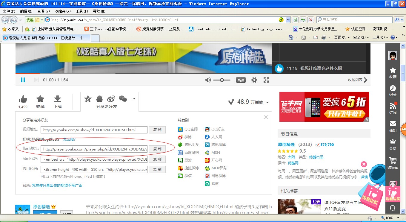 复制flash地址.jpg